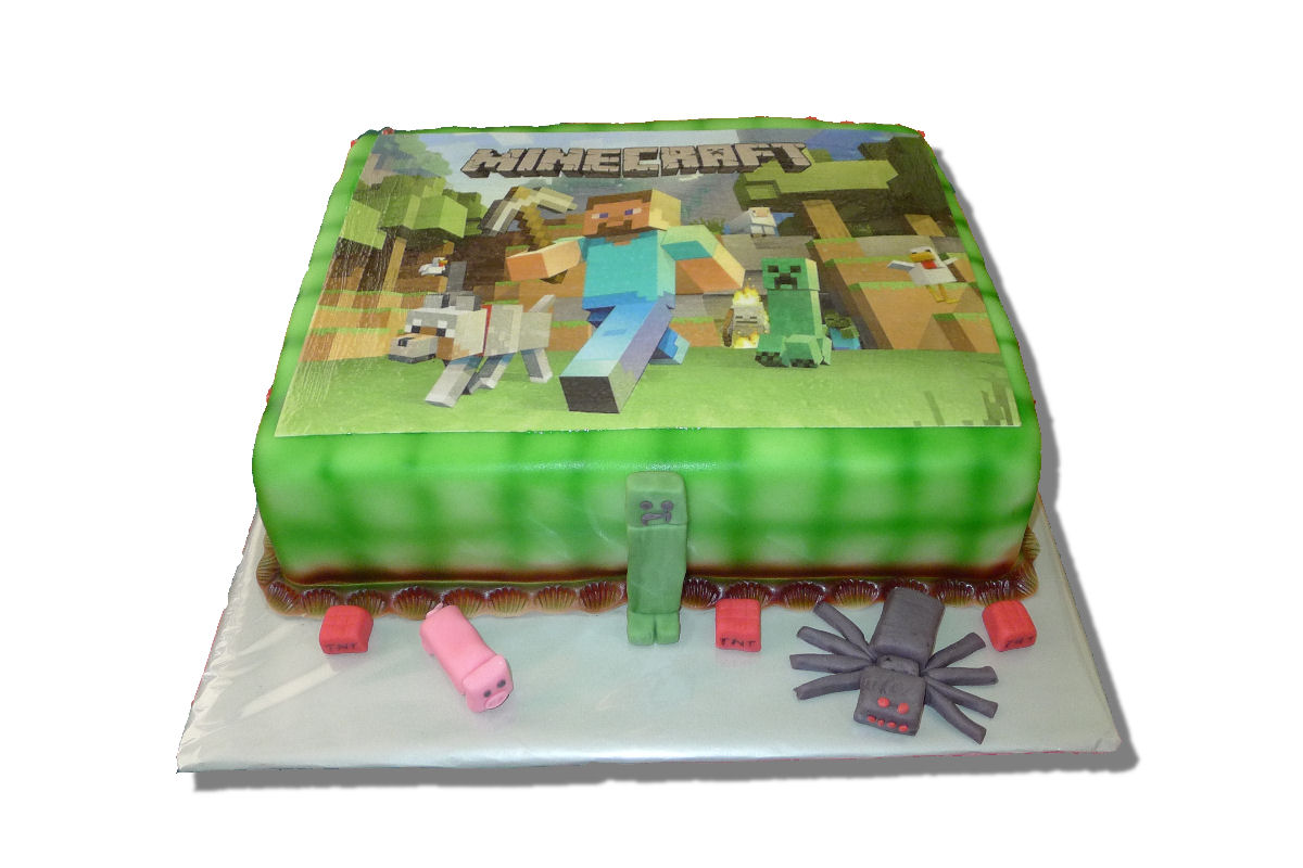 minecraft s fotkou